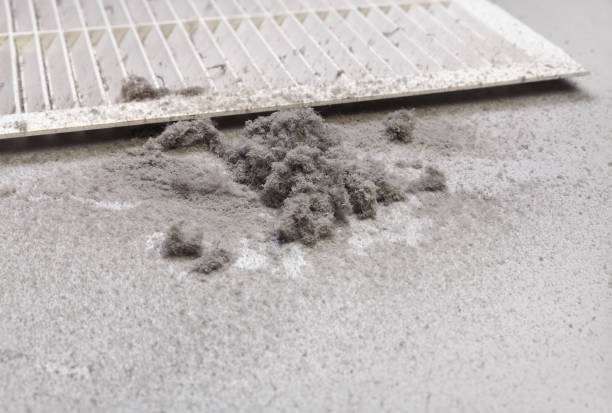Best HVAC Duct Inspection Services  in Dakota Dunes, SD